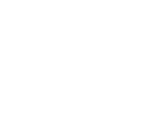 ico1